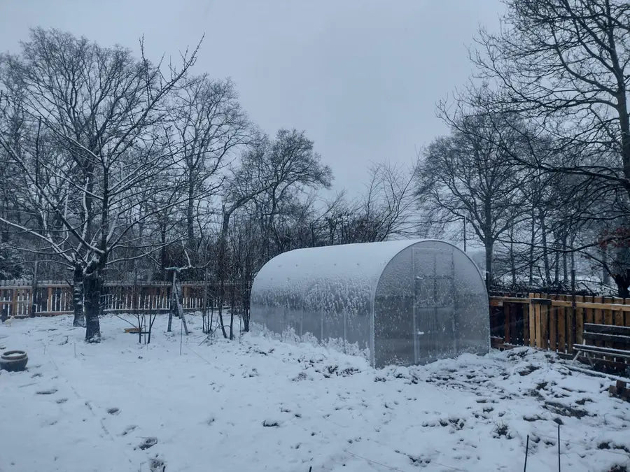 Serre de jardin en polycarbonate