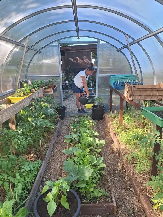Serre de jardin en polycarbonate